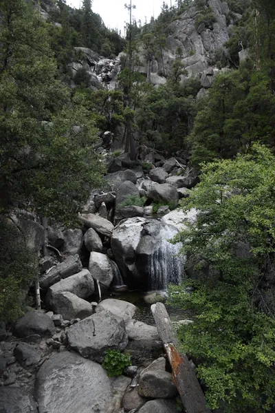 DSC_4516 (Large).JPG